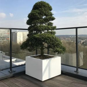 Metal Square Powder Coated Planter Boxes